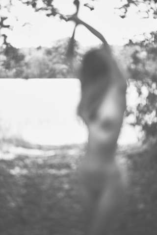 RVF_8788