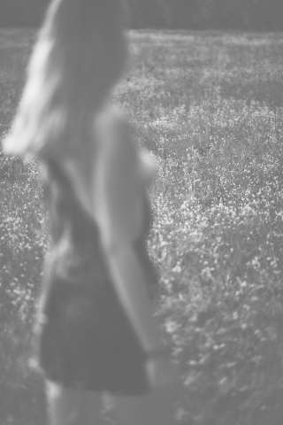 RVF_8882