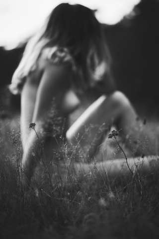 RVF_8935