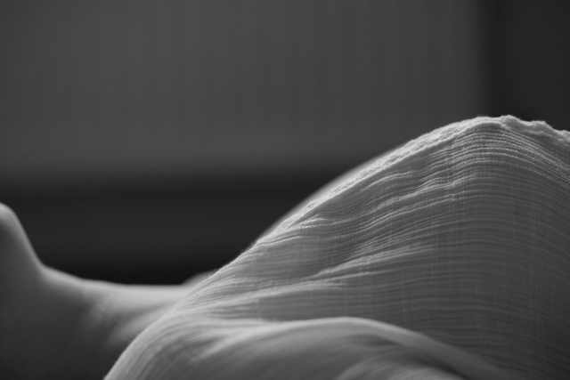 RVF_0335