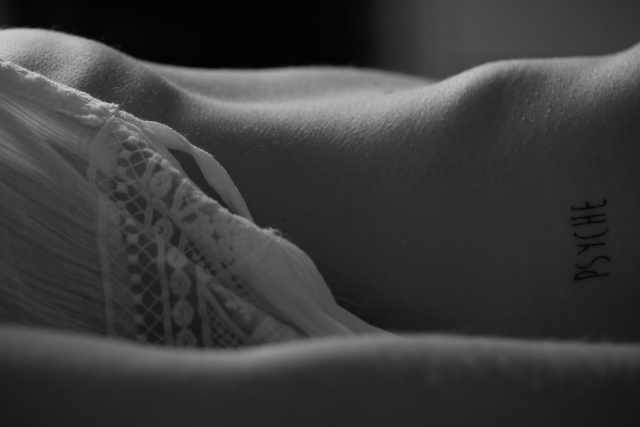 RVF_0337