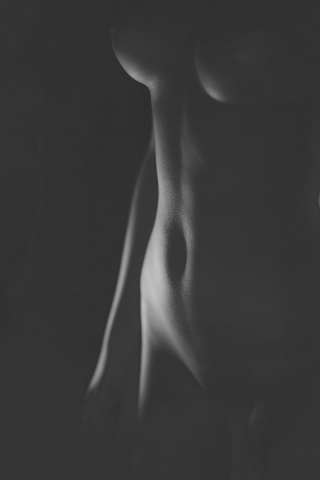 RVF_8842