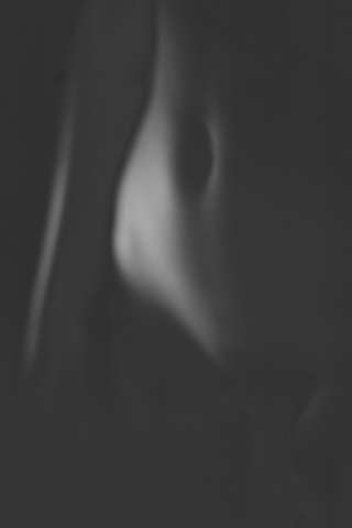 RVF_8847