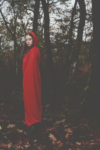 RVF_0028