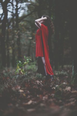 RVF_0090