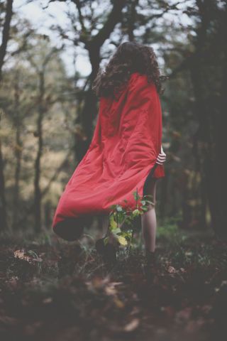 RVF_0093