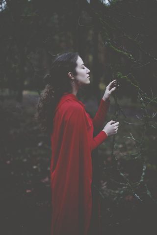 RVF_0120